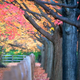 Illustration for article titled 611 Reasons Fall Is the Most Beautiful Season of All